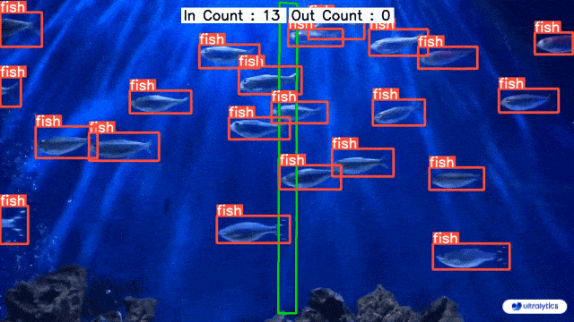 Fish Counting in Sea